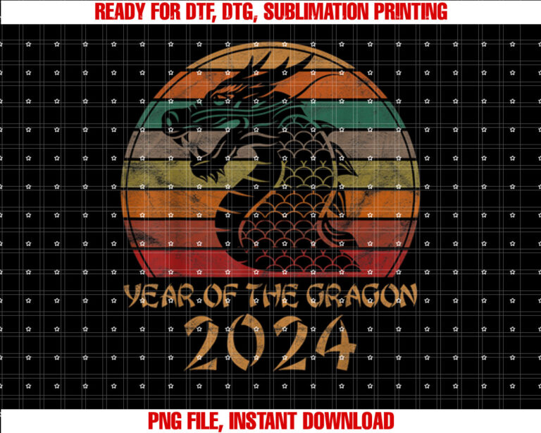 Vintage Year of The Dragon 2025 Gift Zodiac Chinese New Year T-shirt