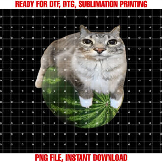Watermelon Cat Silly Cat Meme T-shirt