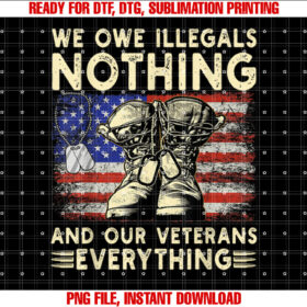 We Owe Illegals Nothing Our Veterans Everything Veteran Day T-shirt