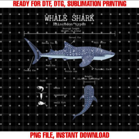 Whale Shark Anatomy Mens Womens Kids Whale Shark T-shirt