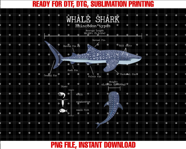 Whale Shark Anatomy Mens Womens Kids Whale Shark T-shirt
