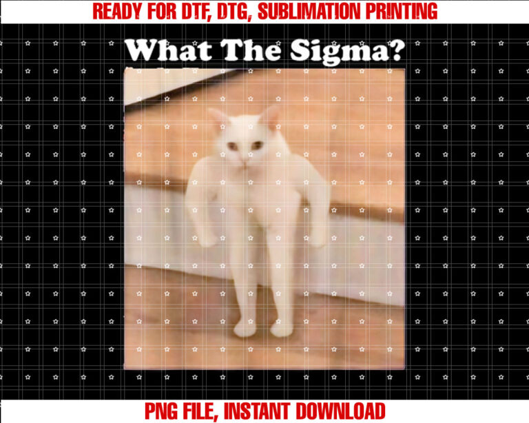 What Sigma Meme Cat Meme Internet Memes Funny Meme Gen Z Pun T-shirt
