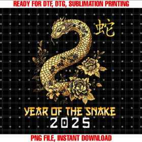 Year of Snake 2025 Lunar New Chinese Year Celebration T-shirt