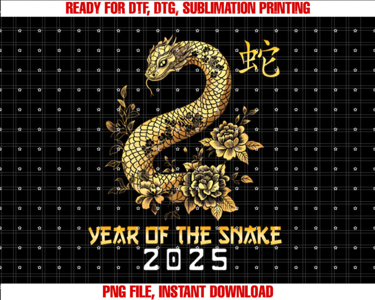 Year Of Snake 2025 Lunar New Chinese Year Celebration T-shirt