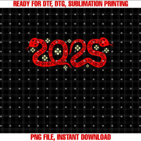 Year of Snakes 2025 Lunar New Year Chinese New Year 2025 T-shirt