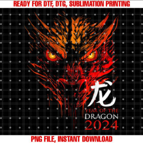 Year of the Dragon 2025 Chinese New Year Chinese Zodiac T-shirt