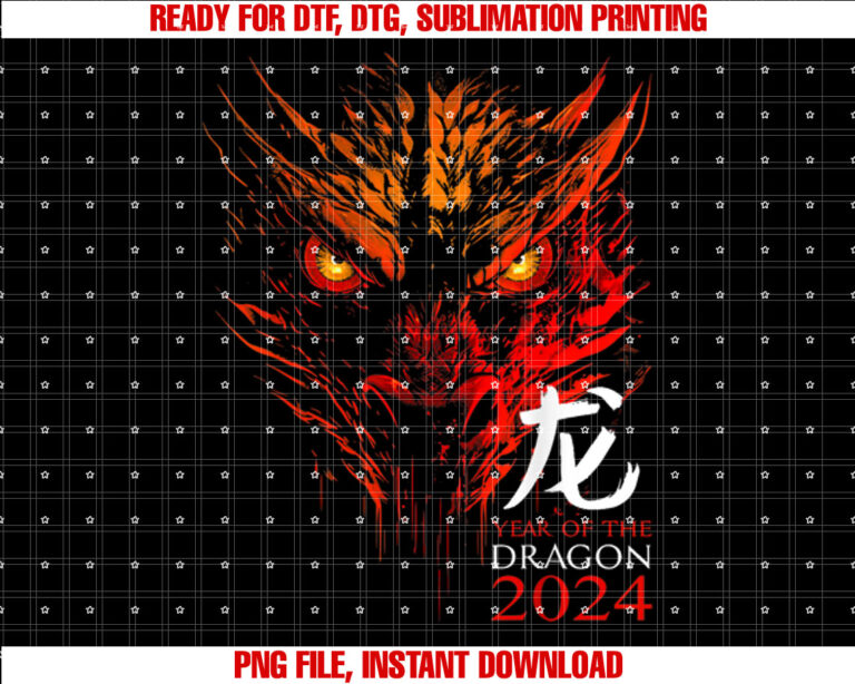 Year Of The Dragon 2025 Chinese New Year Chinese Zodiac T-shirt