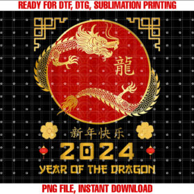 Year of the Dragon 2025 Lunar New Year Chinese New Year 2025 T-shirt