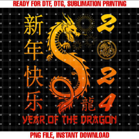 Year of the Dragon 2025 Zodiac Chinese New Year 2025 T-shirt