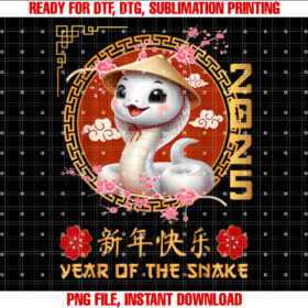 Year of the Snake 2025 Chinese Lunar New Year 2025 Boys Kids T-shirt