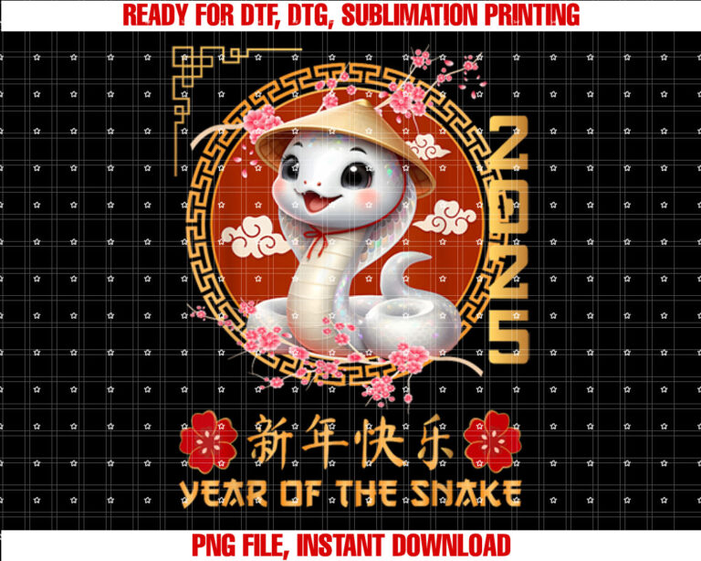 Year Of The Snake 2025 Chinese Lunar New Year 2025 Boys Kids T-shirt