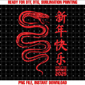 Year of the Snake 2025 Chinese New Year 2025 T-shirt
