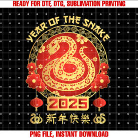 Year of the Snake 2025 Chinese New Year 2025 Men Women Kids T-shirt