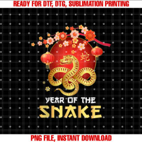 Year of the Snake 2025 Chinese New Year 2025 Men Women Kids T-shirt