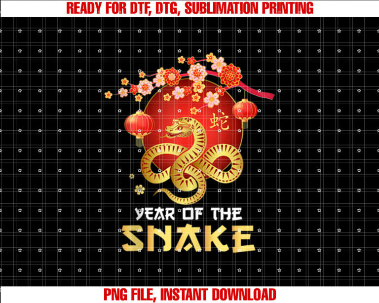 Year Of The Snake 2025 Chinese New Year 2025 Men Women Kids T-shirt