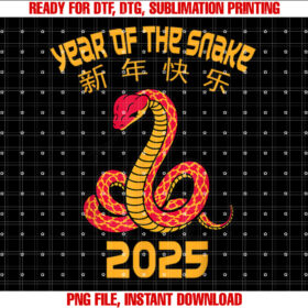 Year of the Snake 2025 Chinese New Year 2025 Red Snake T-shirt