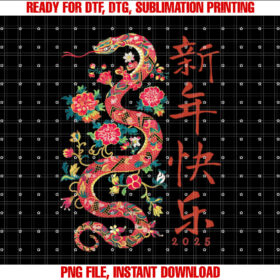 Year of the Snake 2025 Chinese New Year Lunar New Year T-shirt