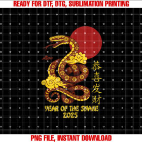 Year of the Snake 2025 Lunar New Year Chinese New Year 2025 T-shirt