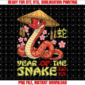 Year of the Snake 2025 Lunar Year of the Snake Merchandise T-shirt