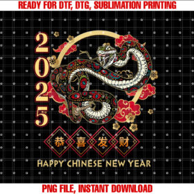 Year of the Snake 2025 Vintage Chinese Art Women Men T-shirt
