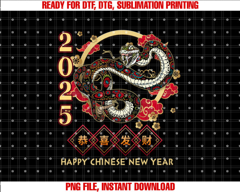 Year Of The Snake 2025 Vintage Chinese Art Women Men T-shirt