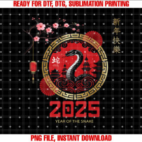 Year of the Snake Lunar New Year 2025 T-shirt