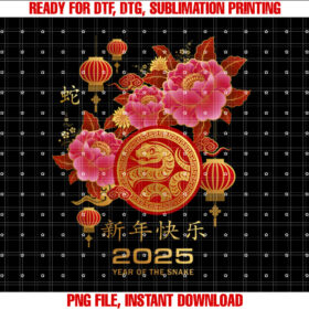 Year of the Snake 2025 Lunar New Year Chinese New Year 2025 T-shirt