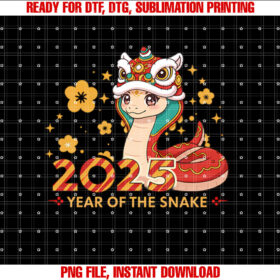 Year the Snake 2025 Chinese Lunar Celebrations Women Design T-shirt