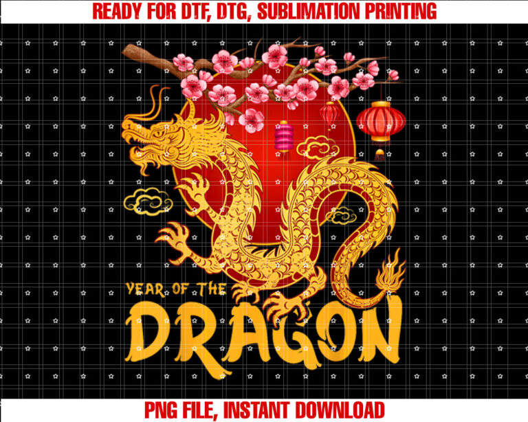 Zodiac Year Of The Dragon Lunar Happy Chinese New Year 2025 T-shirt