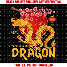 Zodiac Year of the Dragon Lunar Happy Chinese New Year 2025 T-shirt
