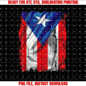 Vintage Puerto Rico Flag for Men Women Kids and Family T-shirt