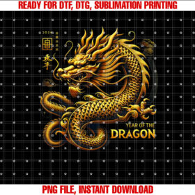 Year of the Dragon 2025 Chinese Dragon Lunar New Year T-shirt