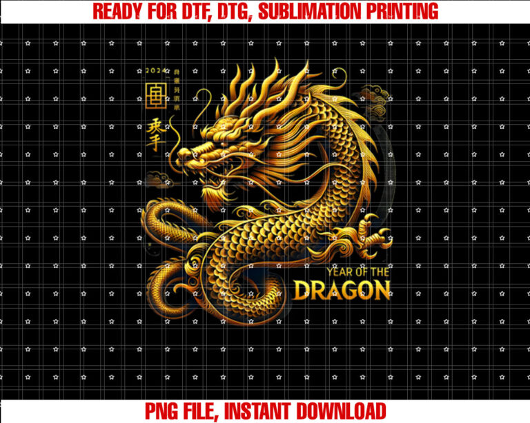 year of the dragon 2025 chinese dragon lunar new year T-shirt