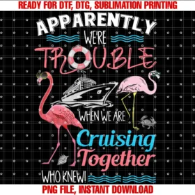 Funny Cruise Gift Ideas for Women Groups Bestiesapparently Were Trouble When We Are Cruising Together Tee