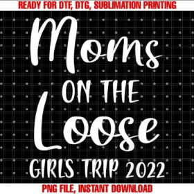 Funny Cute Moms Trip Weekend Trip Vacay Mode Teemoms on the Loose Girls Trip 2022 Mom Vacation Matching Tee