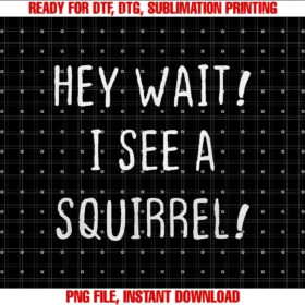 Funny Cute Squirrels Lover Themesquirrel Lovers Hey Wait I See a Squirrel I Heart Squirrel Tee