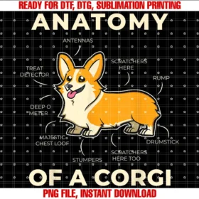 Funny Dog S Dog Giftsfunny Anatomy of a Corgi for Puppies Dog Lover Tee
