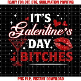 Funny Galentineâs Day Gift for Besties Celebrationitâs Galentineâs Day Bitches Funny Valentine Girls Night Out Tee