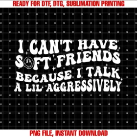 Funny I Cant Have Soft Friends Tee Shirti Cant Have Soft Friends Because I Talk a Lil Aggressively Tee