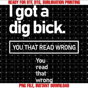 Funny I Got a Dig Bick Tee Shirti Got a Dig Bick You That Read Wrong You Read That Wrong Tee