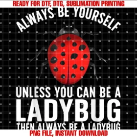 Funny Ladybug Gift Lady Bug Accessories Stufffunny Ladybug Design for Men Women Boys Girls Lady Bug Lover Tee