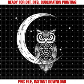 Hanging Owl in the Night Sky Owlet Birds Lover Tee