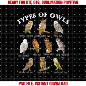 Womens Types of Owl Ornithologist Ornithology Bird Animal Lover Tee