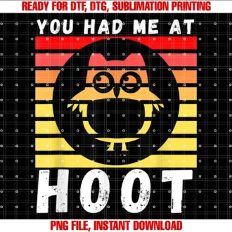You Had Me at Hoot Vintage Sunset Owl Lovers Bird Lover Tee