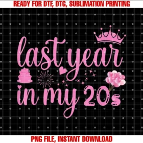 Funny Last Year in My 20s Birthday 29 Years Oldlast Year in My 20s Birthday Happy 29th Funny Party Tee