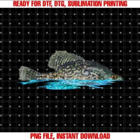 Crappie Fishing Graphic for Crappie Fishermanfishing for Crappie Fish Graphic Art Crappie Fisherman PNG, Sublimation Design