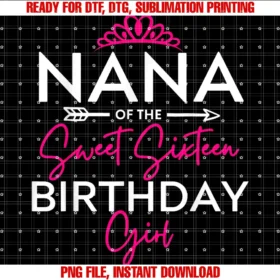 Cute 16 Years Old 16th Girls Family Matching Squadnana of the Sweet Six Teen Birthday Girl Teen Bday Party Tee
