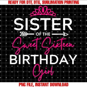 Cute 16 Years Old 16th Girls Family Matching Squadsister of the Sweet Six Teen Birthday Girl Teen Bday Party Tee