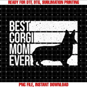 Cute Corgi Gifts Welsh Corgi Accessories Stufffunny Corgi Mom Art Women Girls Dog Pembroke Corgi Lovers Tee
