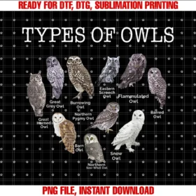 Cute Owl Heart Lover Gift Ideatypes of Owls Educational Cute Owl Lover Gift Men Women Kids Tee